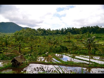 East Of Bali Full Day Tour